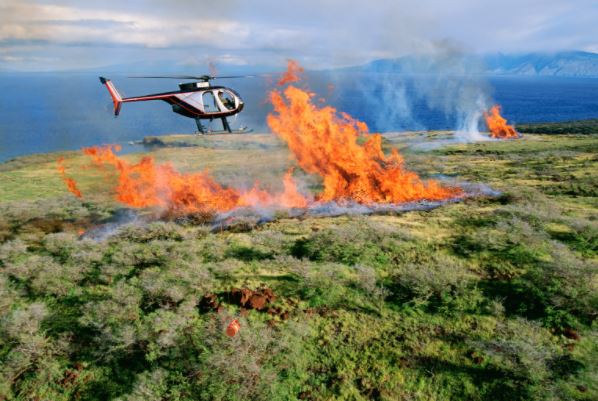 Fire agencies started utilizing aviation goggles in their firefighting strategies.